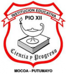 Logo of INSTITUCIÓN EDUCATIVA PÍO XII